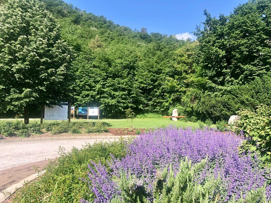 Il Bosco della Città a Trento è il polmone verde della città.