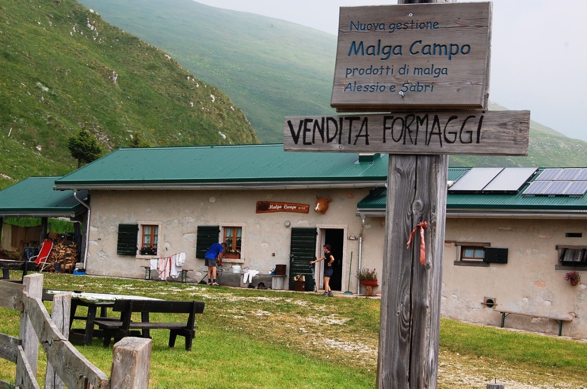 le-peonie-selvatiche-al-rifugio-campei-il-trentino-dei-bambini