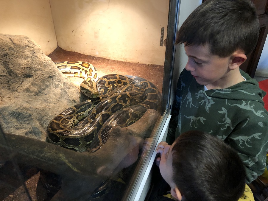 Reptiland serpenti, ragni e… Il Trentino dei Bambini