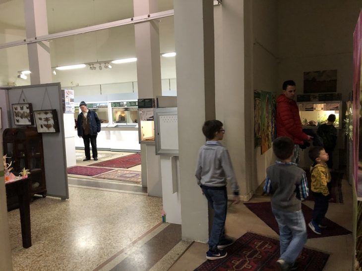 Reptiland serpenti, ragni e… Il Trentino dei Bambini