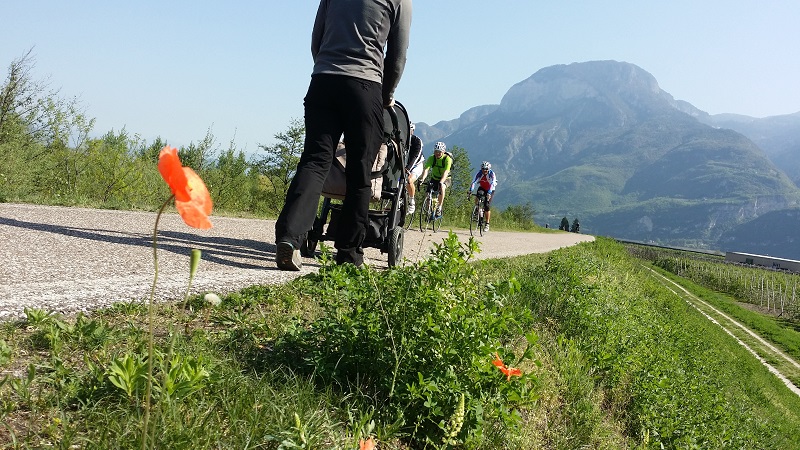 IL tratto di ciclopedonale tra San Michele all'Adige e Faedo è semplice ed adatto anche con il passeggino.