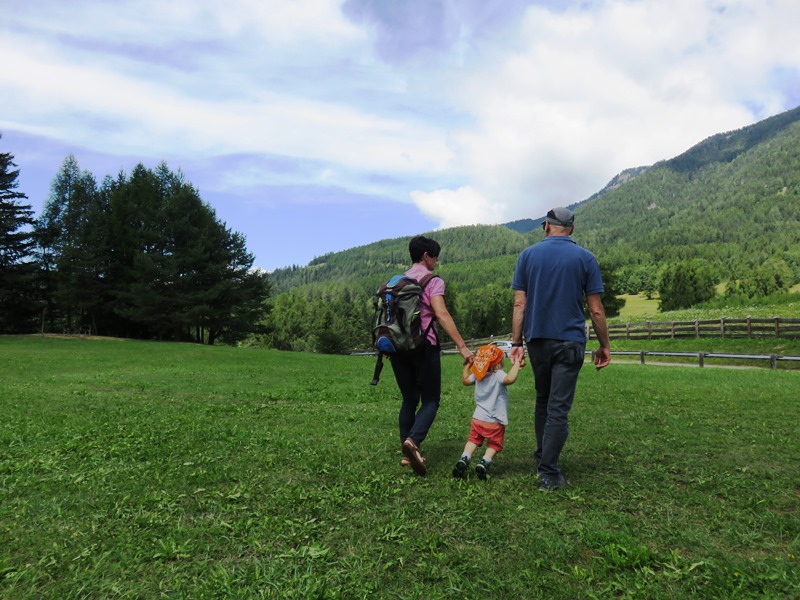 Il Bosco Nascosto Val Di Fiemme
