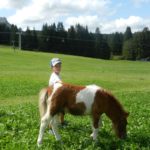 bambino che accarezza pony