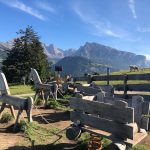 gioco bambini: carrozza con cavalli in legno