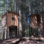 due case sull'albero in legno collegate da ponti