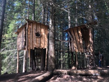 due case sull'albero in legno collegate da ponti