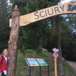 inizio di percorso nel bosco