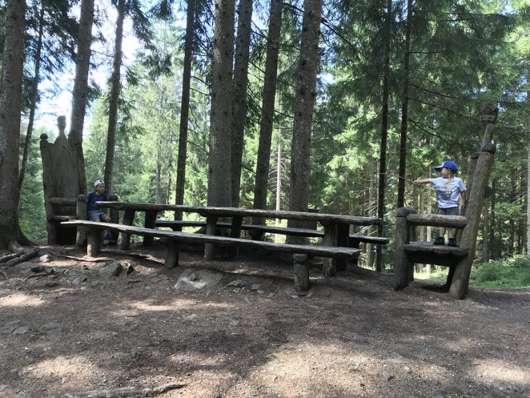 troni giganti nel bosco