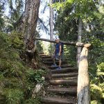 scalinata nel bosco