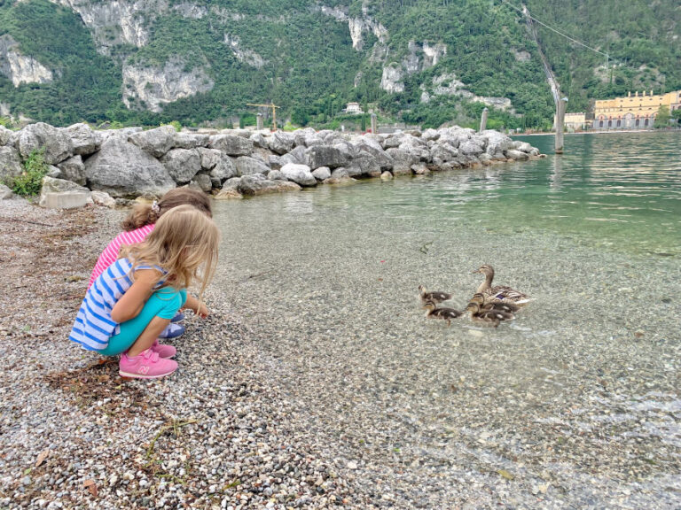 Il Garda Trentino non è solo un posto che sa di vacanza, ma un territorio da riscoprire nelle sue eccellenze