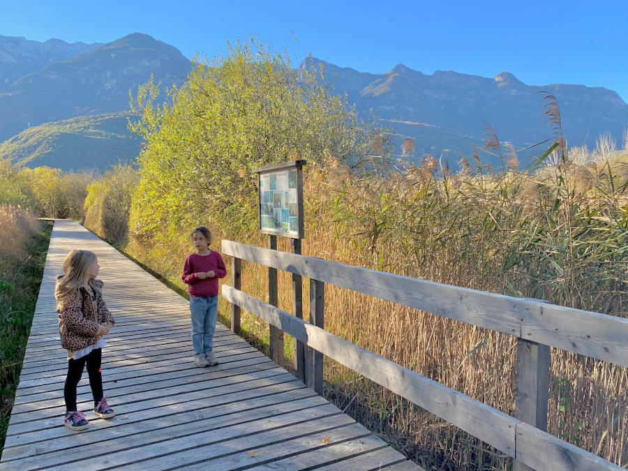 Attorno al lago di Caldaro c'è una bella passeggiata che si può fare anche con il passeggino.