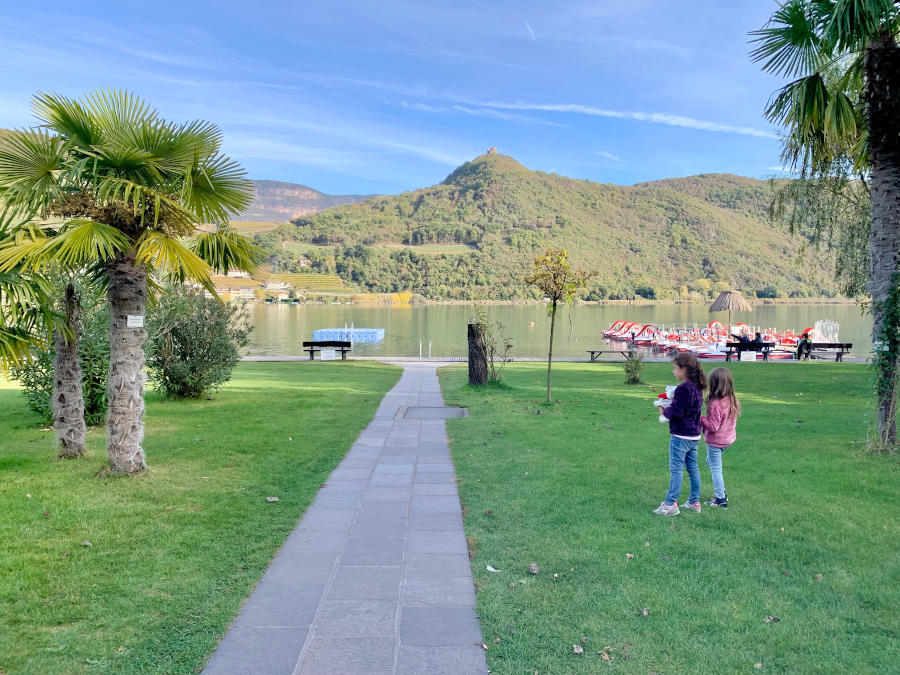 lago circondato dal verde