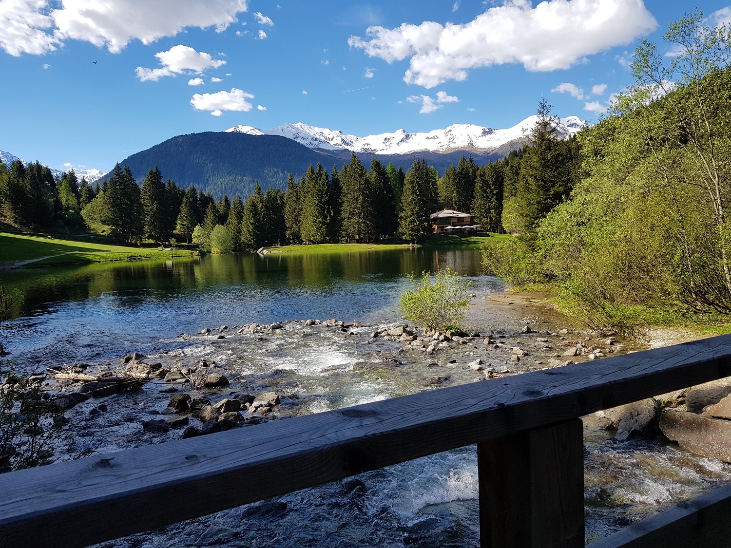 Il Lago dei Caprioli è un piccolo lago balneabile a quota 1280 metri  in Val di Sole