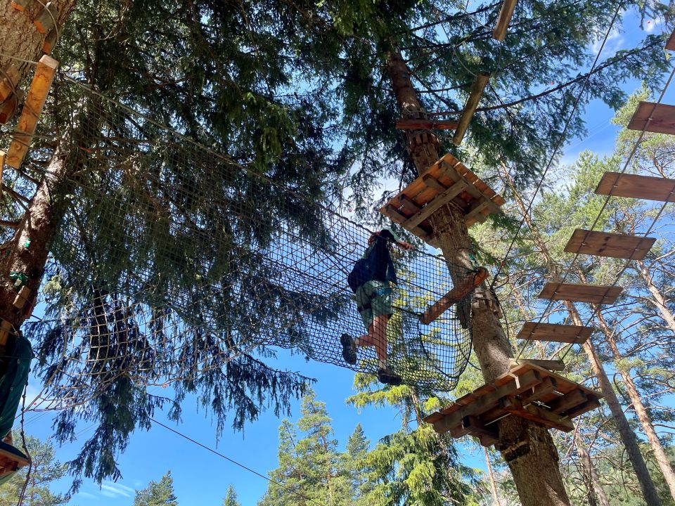 Il Dolomiti Action Adventure Park propone 13 percorsi per ogni livello ed età