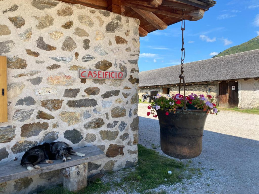 Malga Cloz è la prima delle malghe che si incontrano facendo il giro delle malghe di Cloz, Revò e Kessel