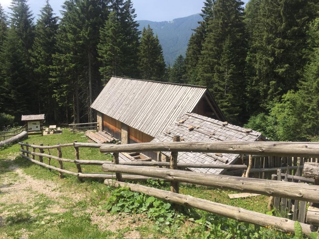 La "Sog Van RIndel" è una tradizionale segheria veneziana che si può ancora ammirare in Val dei Mocheni