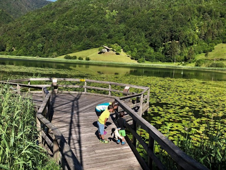 Estate in Val di Ledro non è solo tuffi e bagni al Lago di Ledro. Il lago d'Ampola ad esempio è un vero e proprio scrigno di biodiversità.