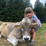 A Malga San Felice si possono trovare anche le mucche