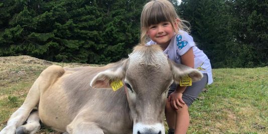 A Malga San Felice si possono trovare anche le mucche