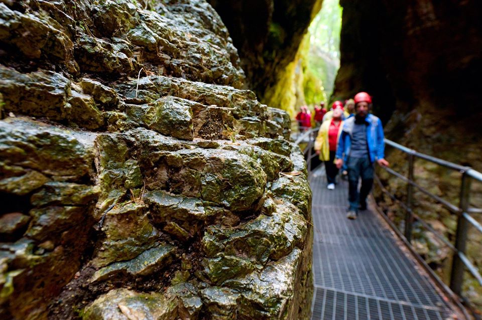 passerella sospesa per visitare un canyon