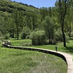Nei pressi del lago di Terlago si trova questa bella passerella in legno