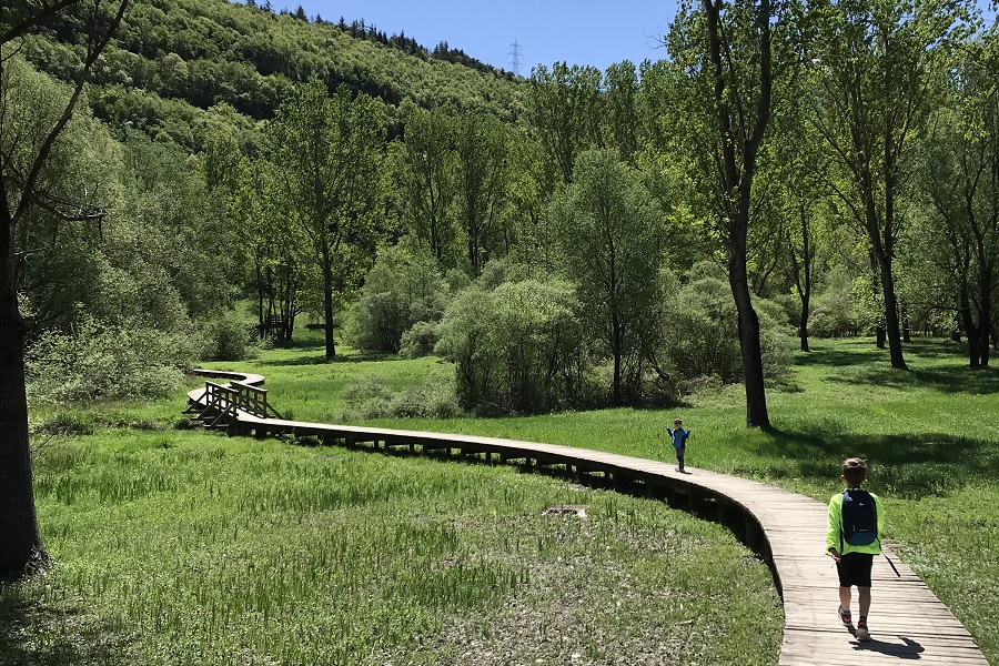 Nei pressi del lago di Terlago si trova questa bella passerella in legno