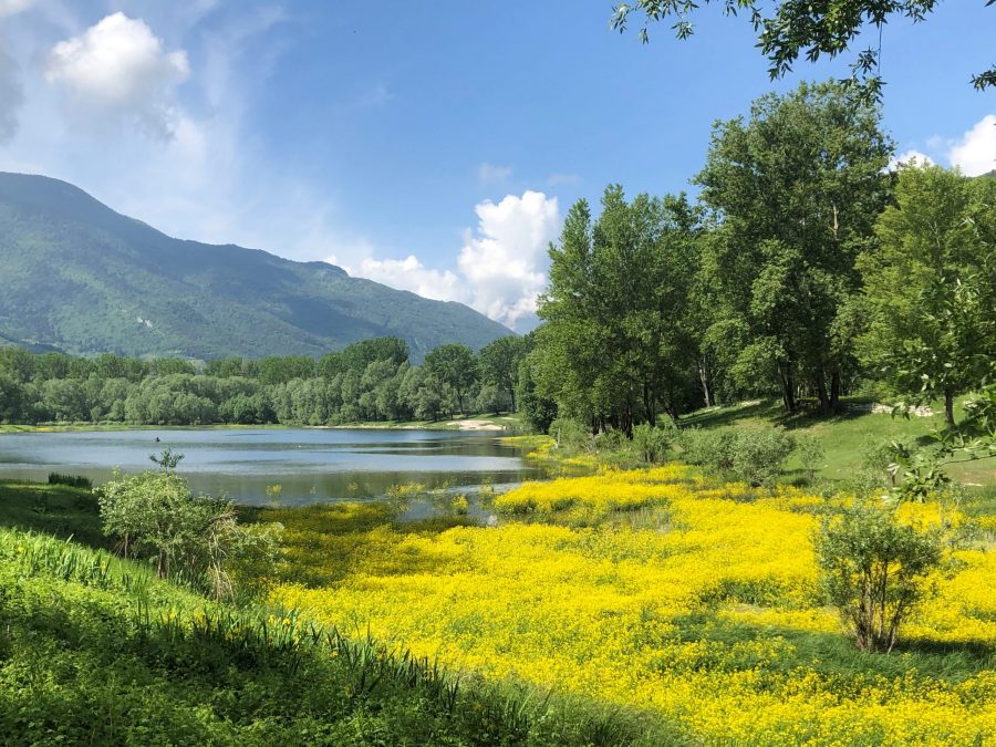 La pista ciclopedonale in Valle dei Laghi è immersa in paesaggi semplici e ancora relativamente selvaggi