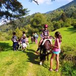 I trekking con asini a Malga Zanga si svolgono in autonomia dopo aver svolto una attività di conoscenza con gli animali
