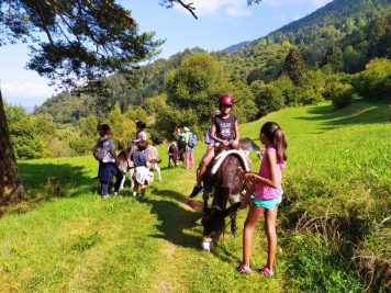 I trekking con asini a Malga Zanga si svolgono in autonomia dopo aver svolto una attività di conoscenza con gli animali