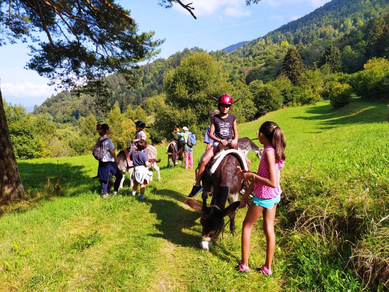 Trekking con asini a Malga Zanga