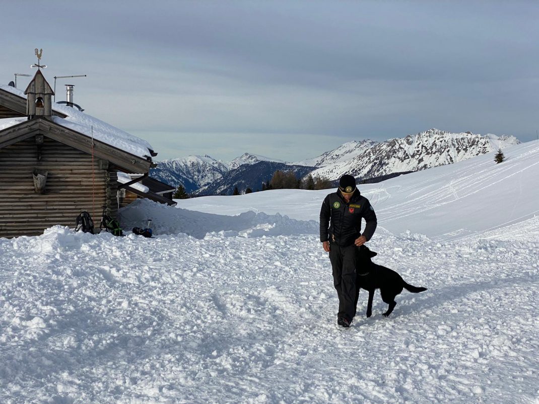 Con i cani da valanga al Rolle Il Trentino dei Bambini