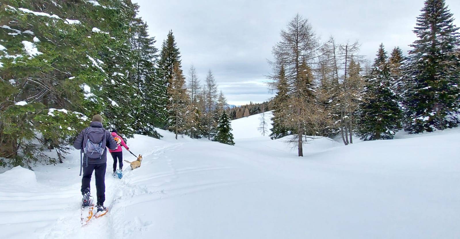 Monte Zugna sotto la neve