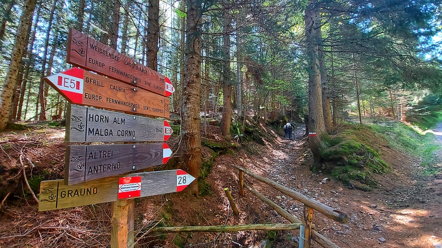 sentiero verso Malga Corno