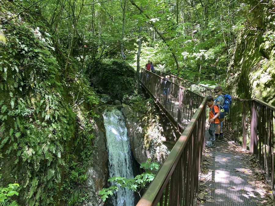 passerelle in ferro che attraversano la fitta vegetazione della gola del Rastenbach