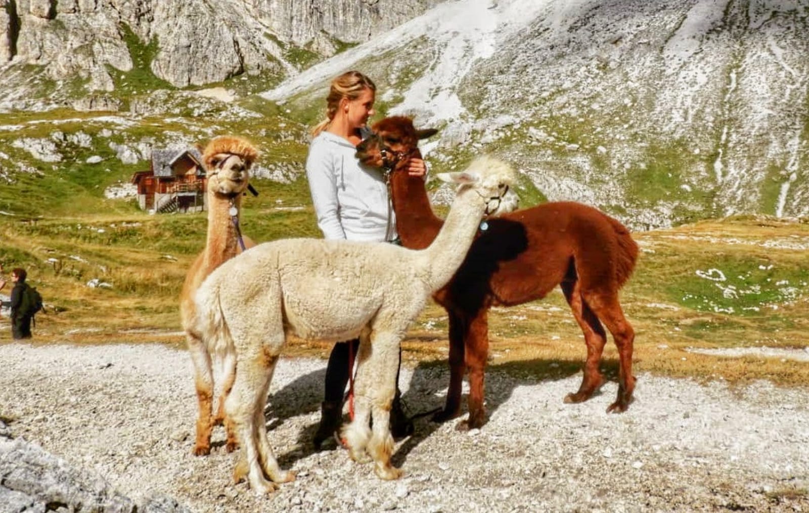 Trekking-Buffaure-alpaca-iltrentinodeibambini