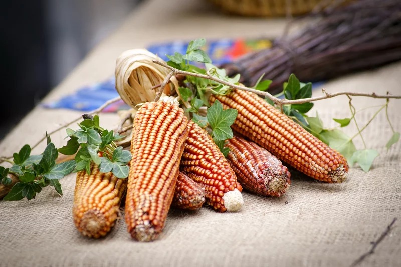 Torna ad ottobre l'evento autunnale più atteso: torna il Festival della Polenta a Storo
