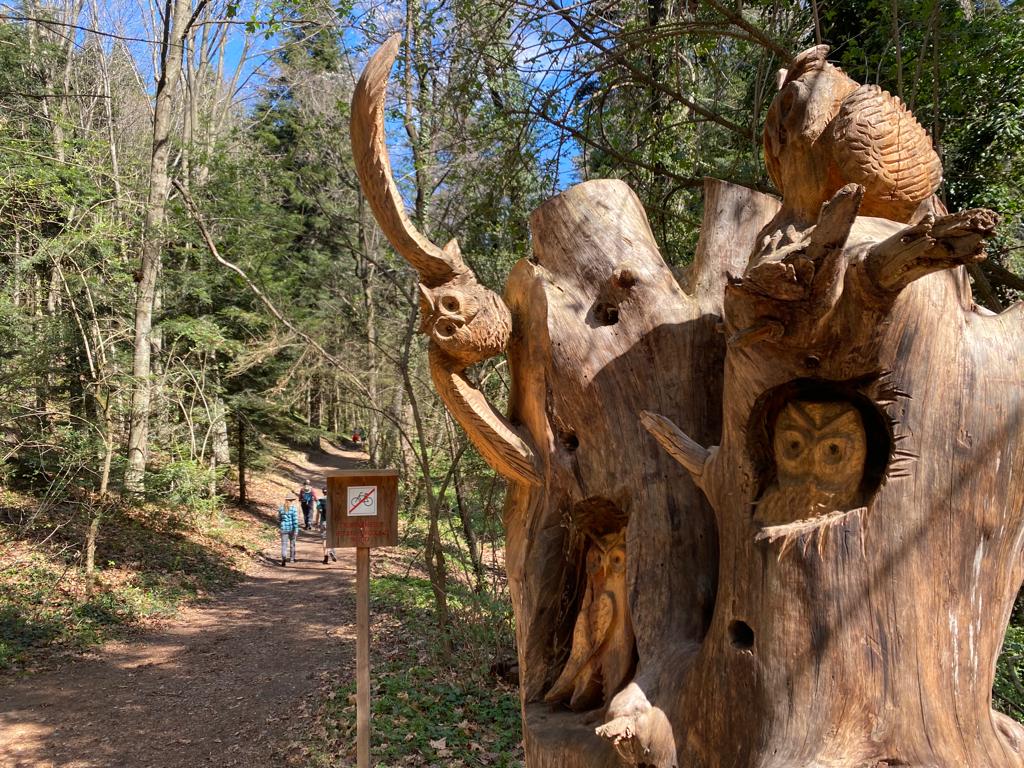 sentiero nel bosco