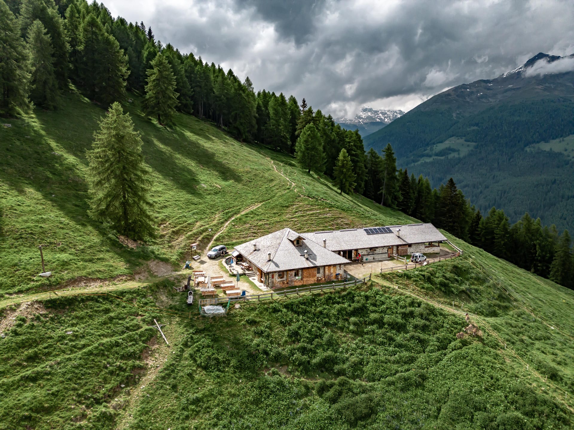 Malga Polinar dall'alto, circondata dai pascoli e dai boschi della Val di Rabbi