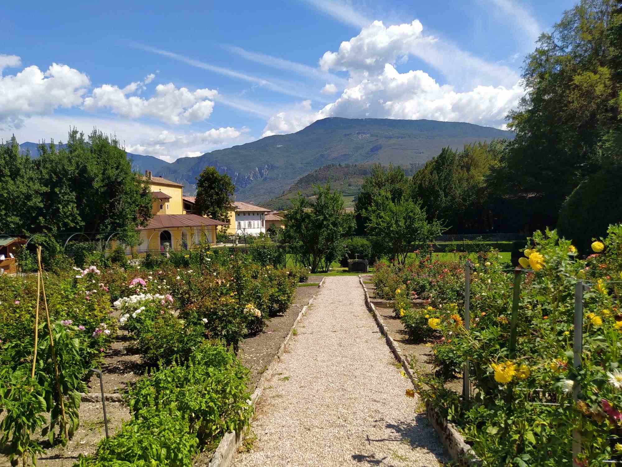 All'interno del Parco Guerrieri Gonzaga si trova un profumato roseto con numerose varietà di rose.