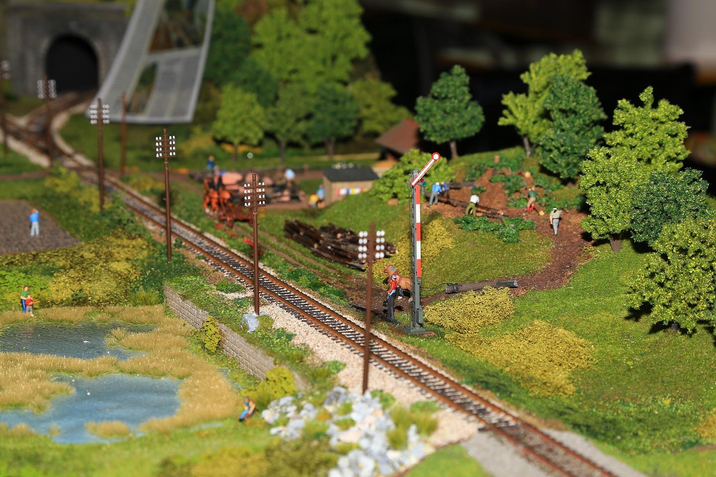 A Salorno tra il 10 e l'11 dicembre la mostra di modellismo ferroviario in  occasione del Natale - Vita Trentina