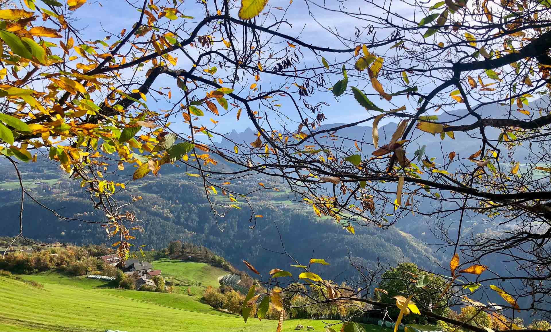 Sentiero del Castagno a Velturno