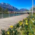 Il parco di Melta si trova a Gardolo, Trento Nord. Molto bello in primavera, quando tanti alberi sono coperti di fiori rosa