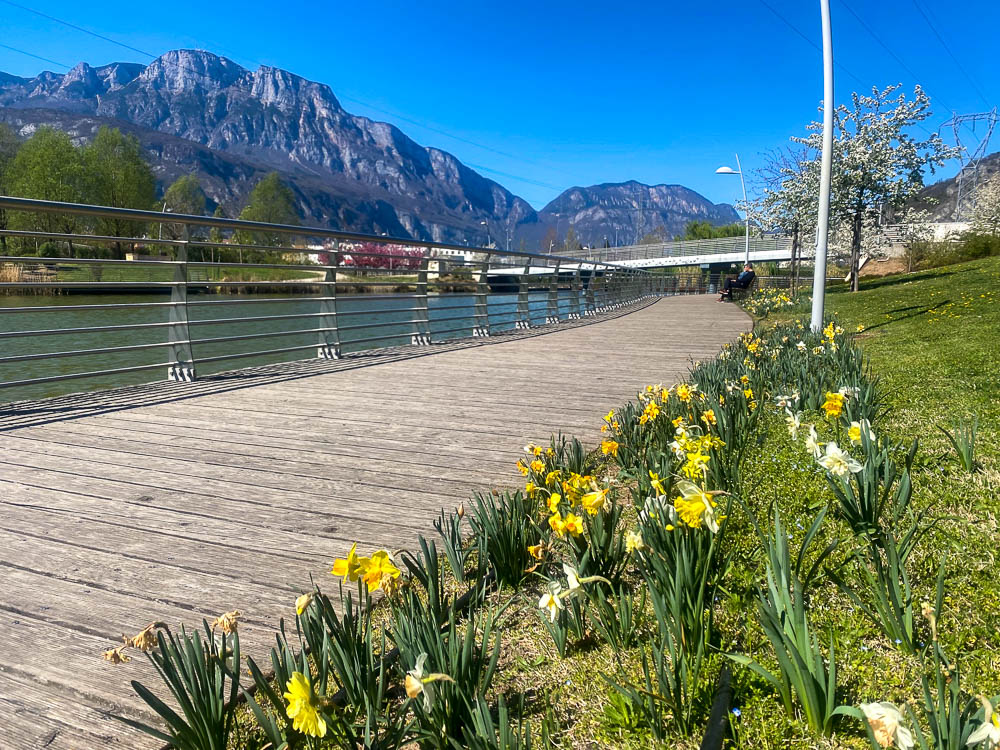 Il parco di Melta si trova a Gardolo, Trento Nord. Molto bello in primavera, quando tanti alberi sono coperti di fiori rosa