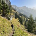 Dal Rifugio Baita Cuz parte il sentiero in discesa che porta agli splendidi prati fioriti della Val San Nicolò