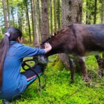 Siete mai stati dagli asini a Fontanefredde? Un trekking ed un'esperienza davvero speciali, durante i quali l'asino diventa un fedele compagno.