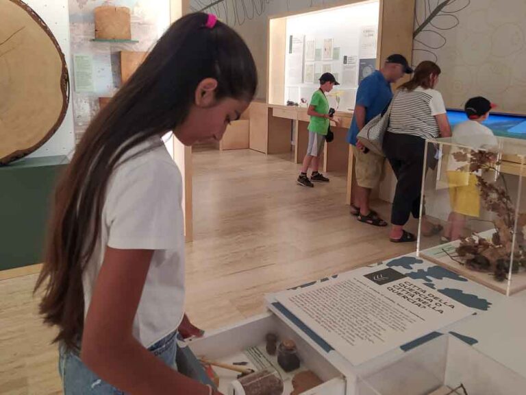 Fondazione Museo Civico Rovereto