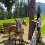 Non soltanto giochi: dietro la Baita al Cir, sul PIz de Plaies, si trova anche una piccola fattoria.