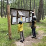 bambini che scoprono informazioni sul bosco da cartellone didattico