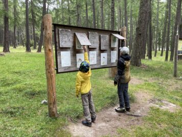 bambini che scoprono informazioni sul bosco da cartellone didattico