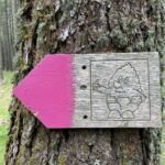 indicazioni del sentiero nel bosco